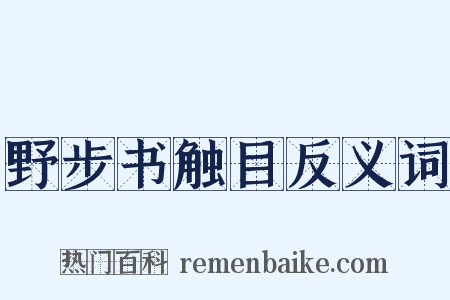 野步书触目反义词是什么意思的图片